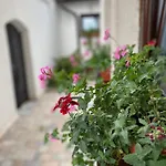 Ajna Sarajevo